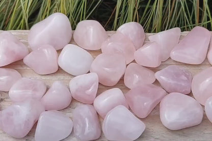 Rose Quartz Polished Tumblestone Healing Crystals
