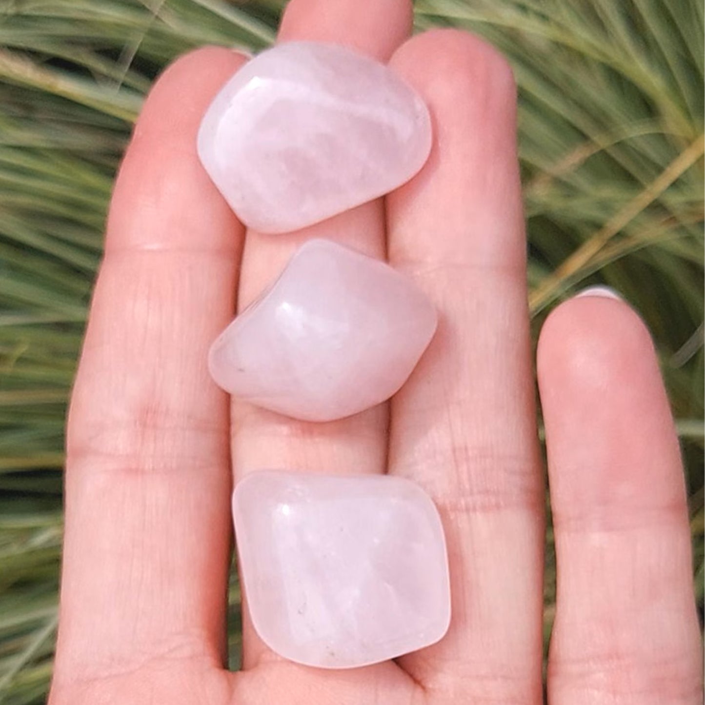 Rose Quartz Polished Tumblestone Healing Crystals